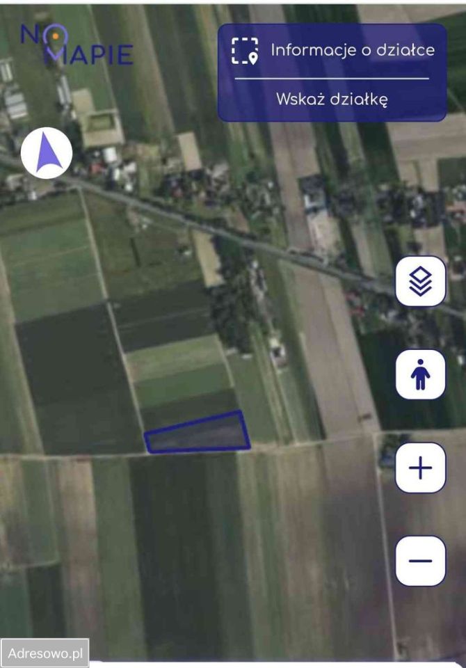 Działka rolna Kamienna-Kolonia. Zdjęcie 1