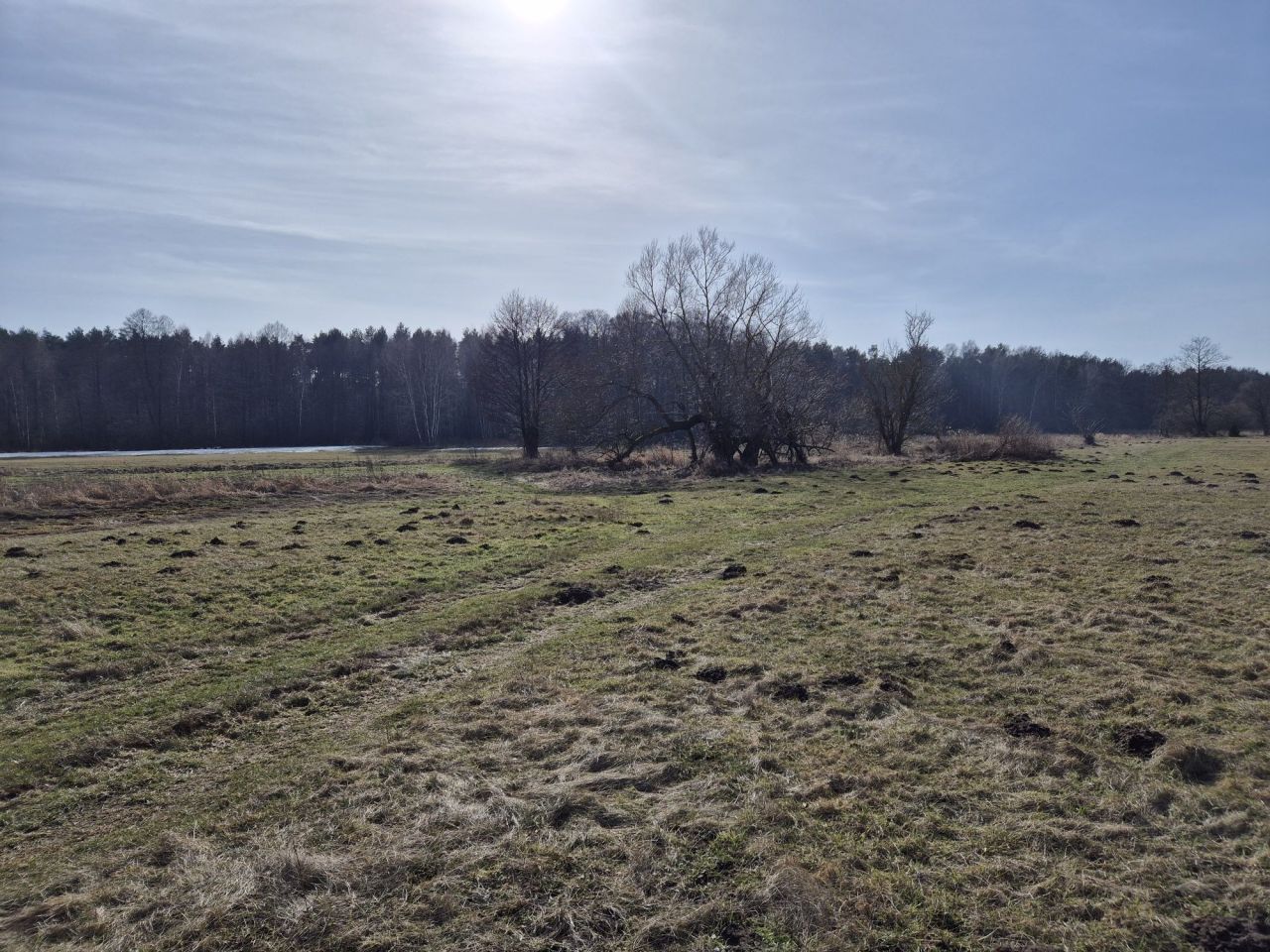 Działka rolna Życzyn. Zdjęcie 2