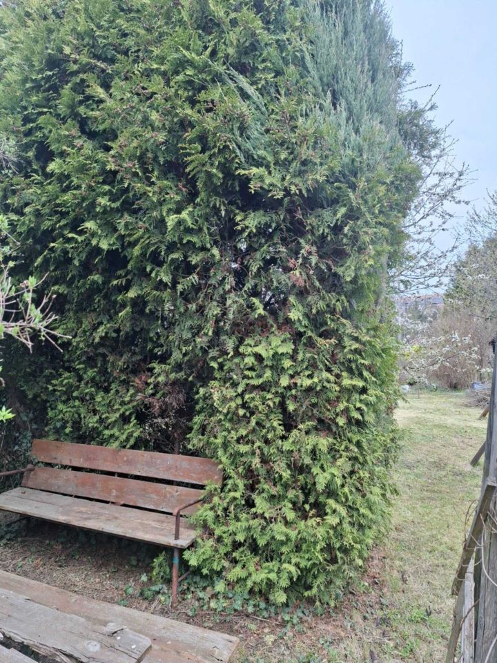 Działka rod Legnica, ul. Chojnowska. Zdjęcie 6