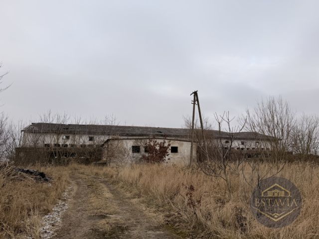 Działka inwestycyjna Węgorzyce. Zdjęcie 11