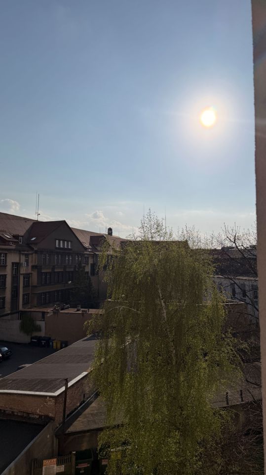 Mieszkanie 3-pokojowe Gliwice Śródmieście. Zdjęcie 3