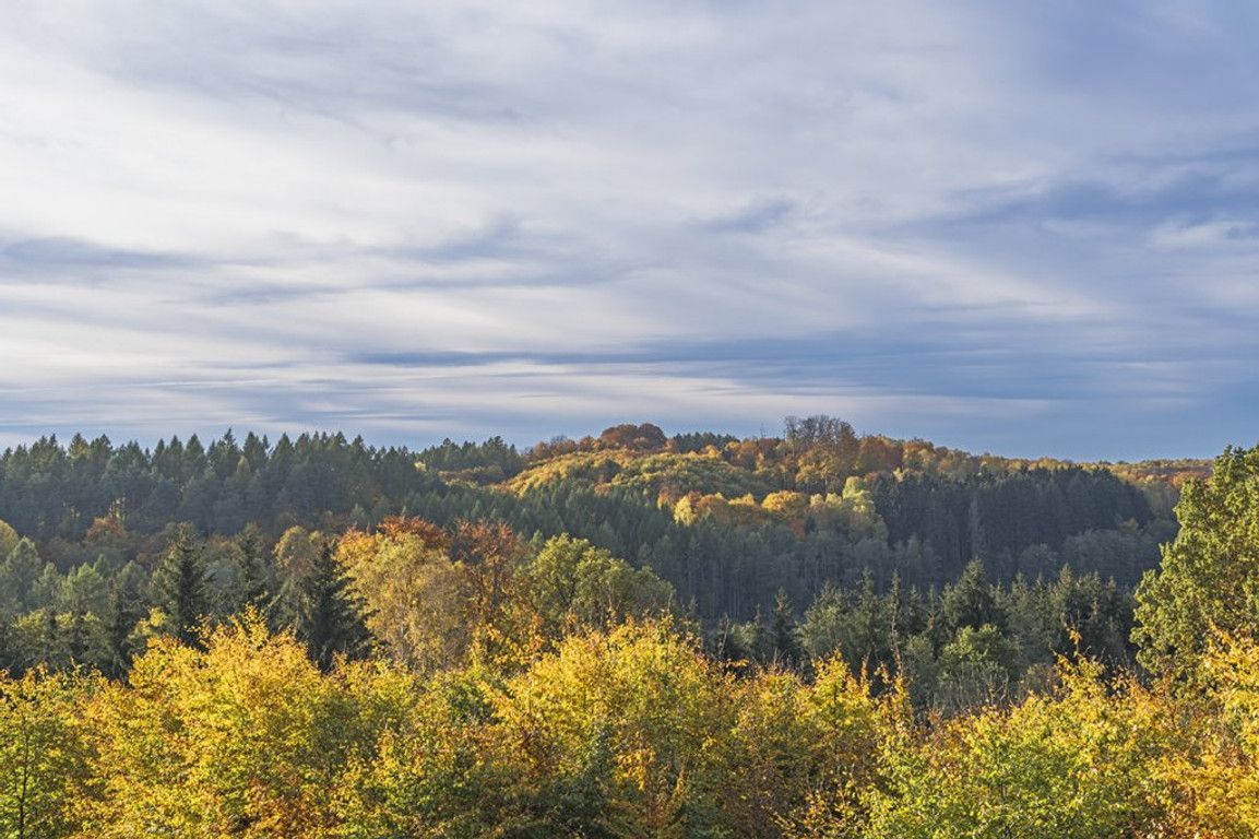 Działka rolna Sarnikierz. Zdjęcie 9