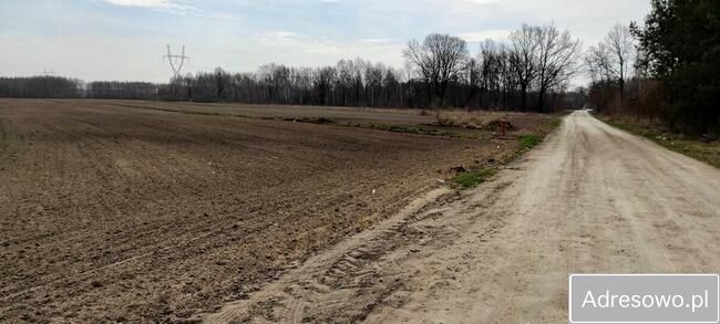Działka budowlana Orły-Cesin. Zdjęcie 8