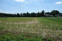 Działka budowlana Skoczów. Zdjęcie 4