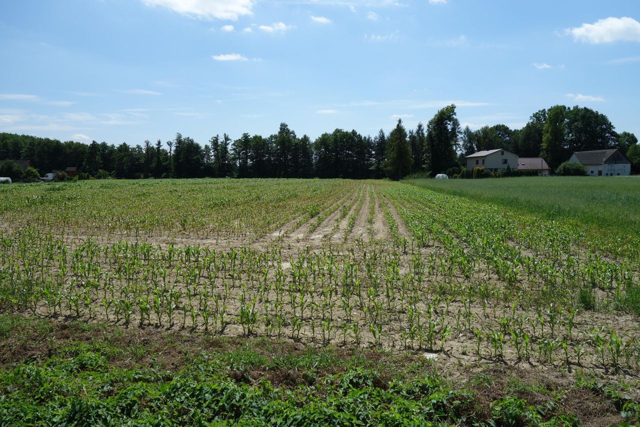 Działka budowlana Skoczów. Zdjęcie 5