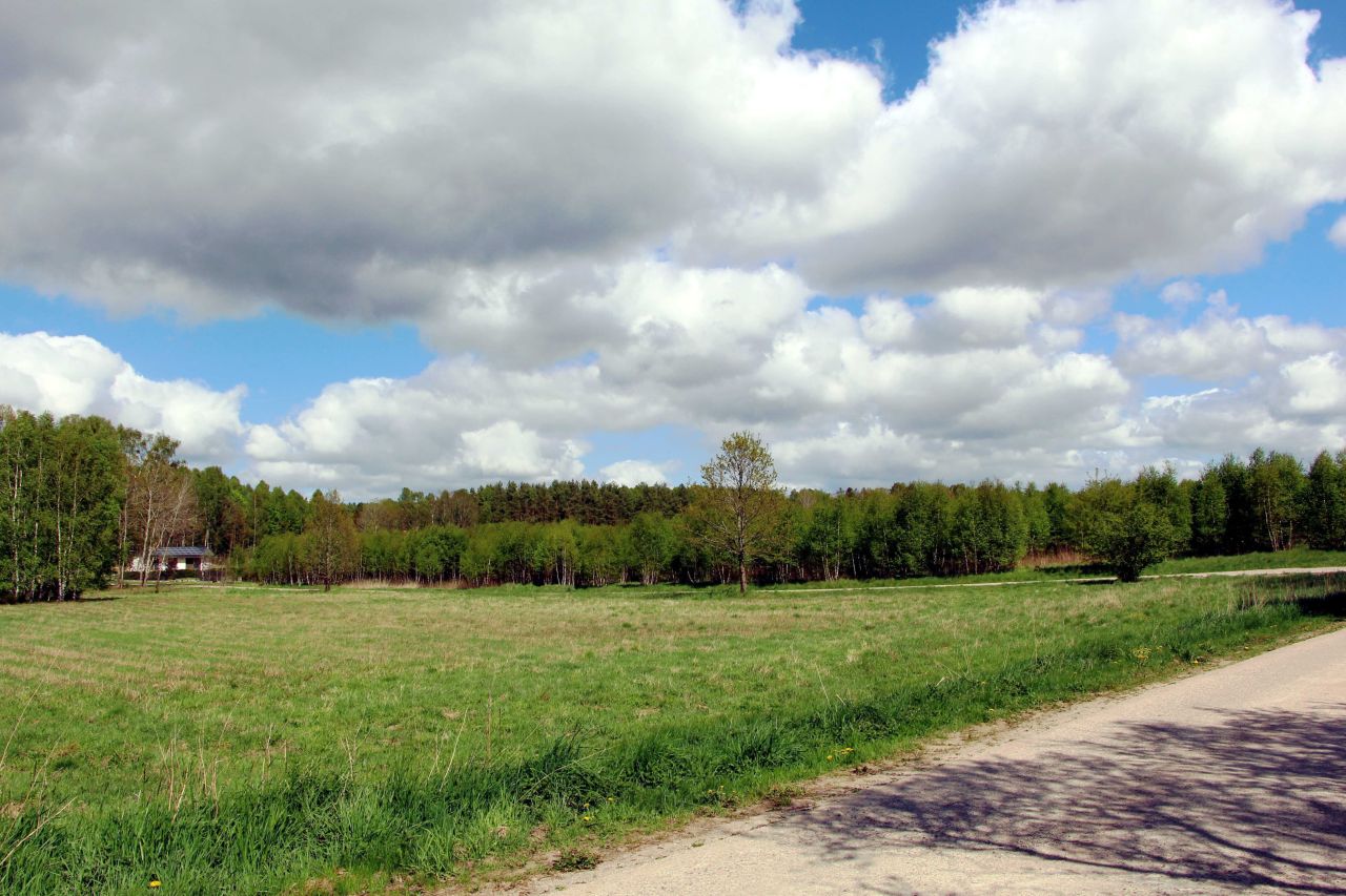 Działka budowlana Brzeziniec. Zdjęcie 7