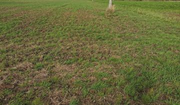 Działka rolna Krasiejów