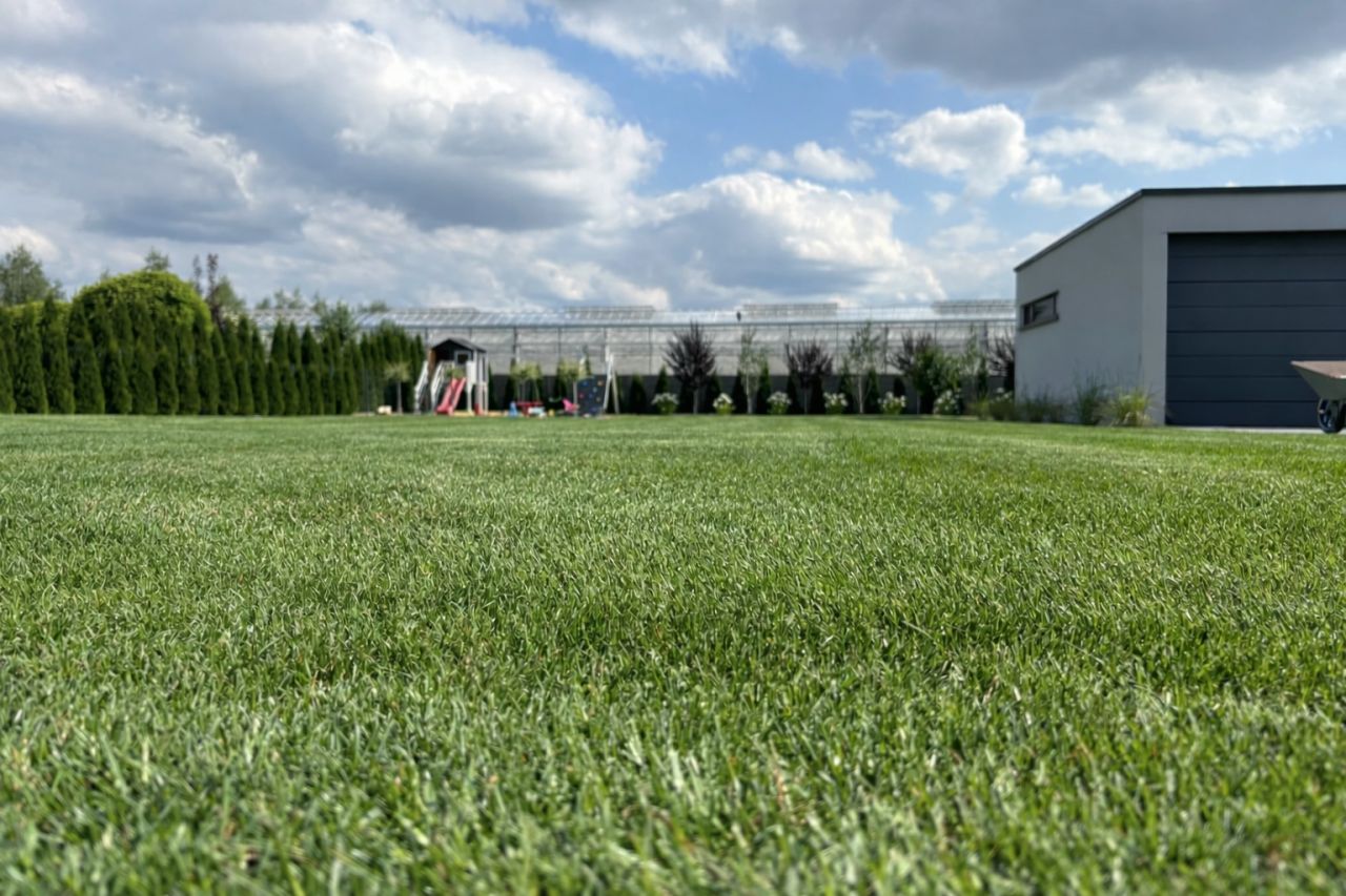 dom wolnostojący, 4 pokoje Piaski. Zdjęcie 14