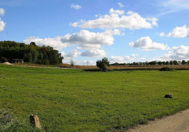 Działka budowlana Złotogłowice. Zdjęcie 1