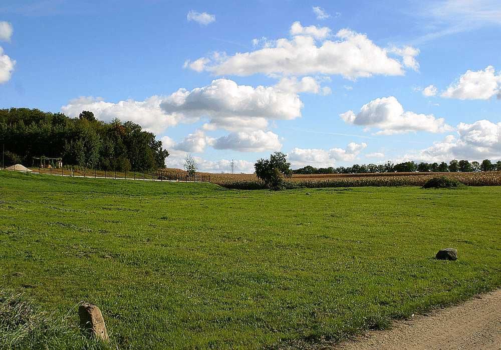 Działka budowlana Złotogłowice. Zdjęcie 1