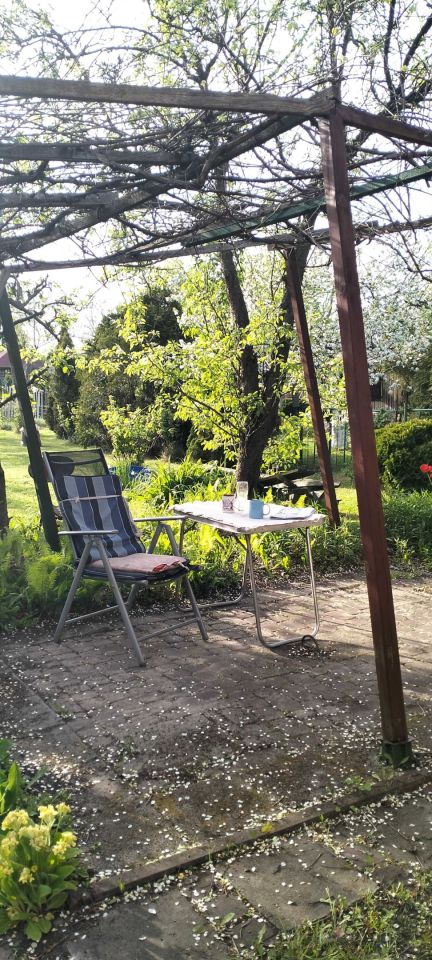 Działka rod Radom, ul. Odrodzenia. Zdjęcie 8