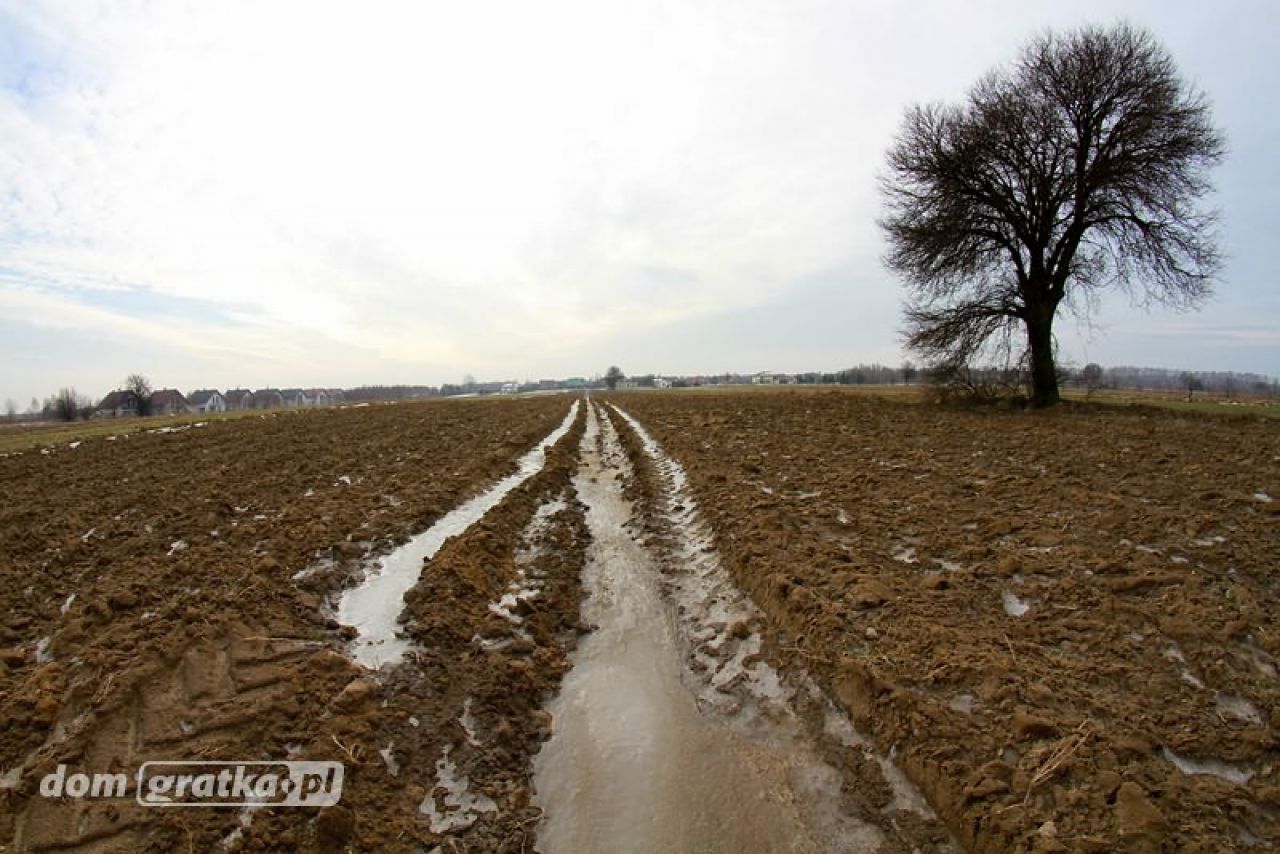 Działka rolno-budowlana Dobra-Nowiny, ul. Marii Piotrowiczowej. Zdjęcie 9