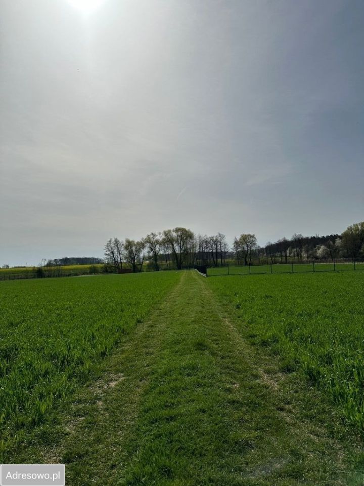 Działka budowlana Czermin Żale. Zdjęcie 4