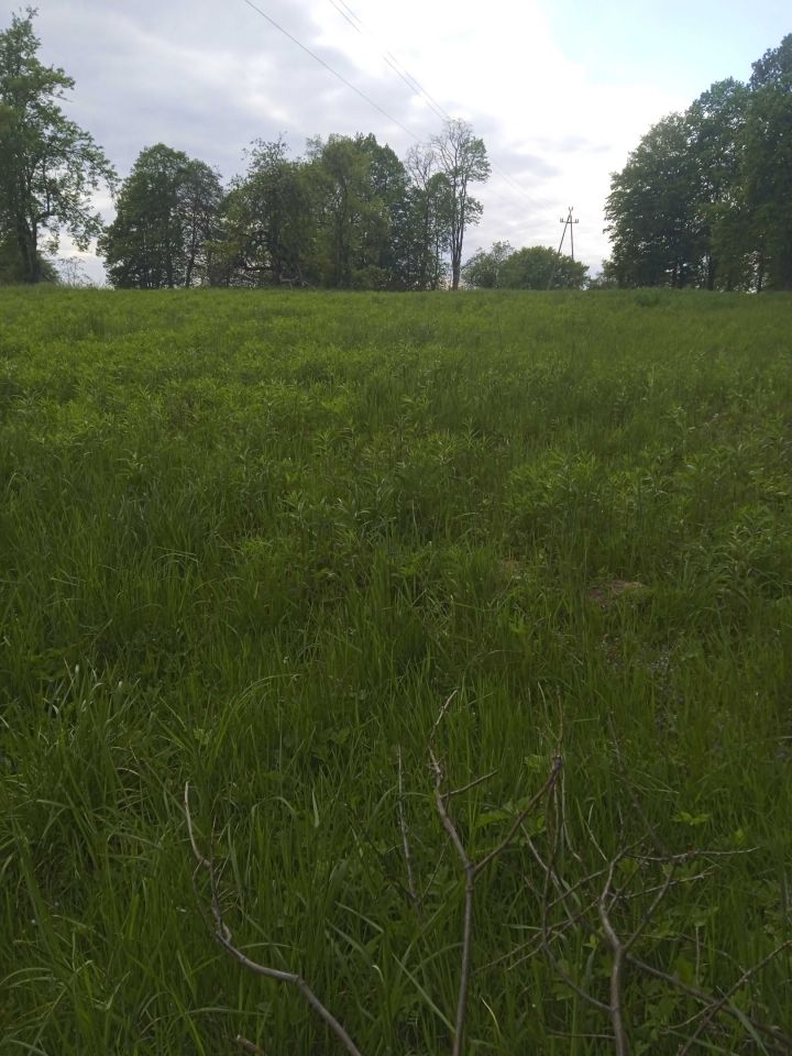 Działka rolno-budowlana Lusina. Zdjęcie 2