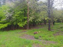 Działka Trzepieciny. Zdjęcie 4