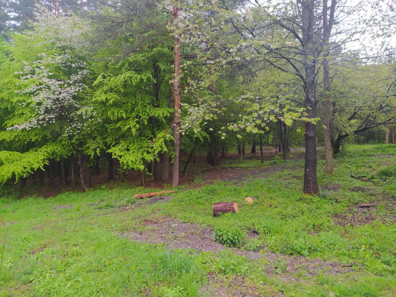 Działka Trzepieciny. Zdjęcie 5