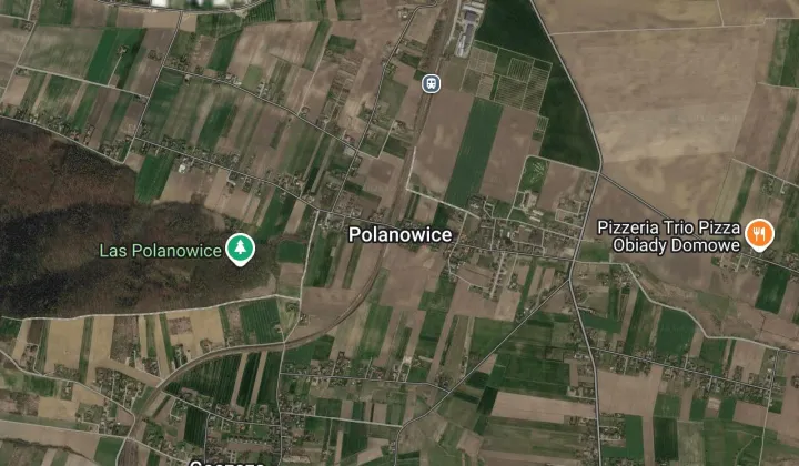 dom wolnostojący, 5 pokoi Polanowice