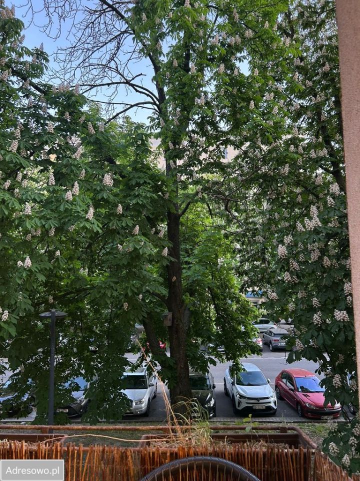 Mieszkanie 1-pokojowe Warszawa Ochota, ul. Baśniowa. Zdjęcie 8