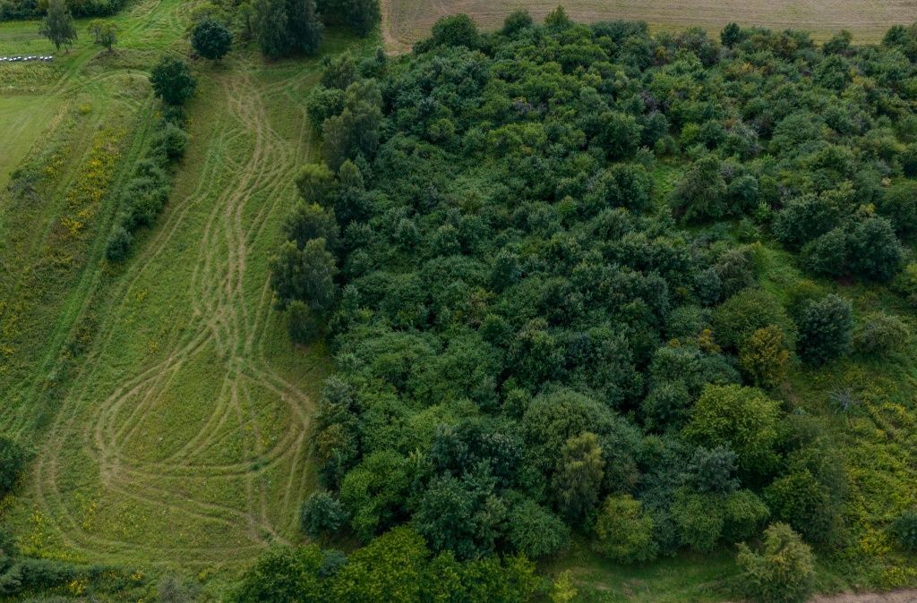 Działka rolna Łęcze. Zdjęcie 8