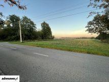 Działka budowlana Zadębie. Zdjęcie 1