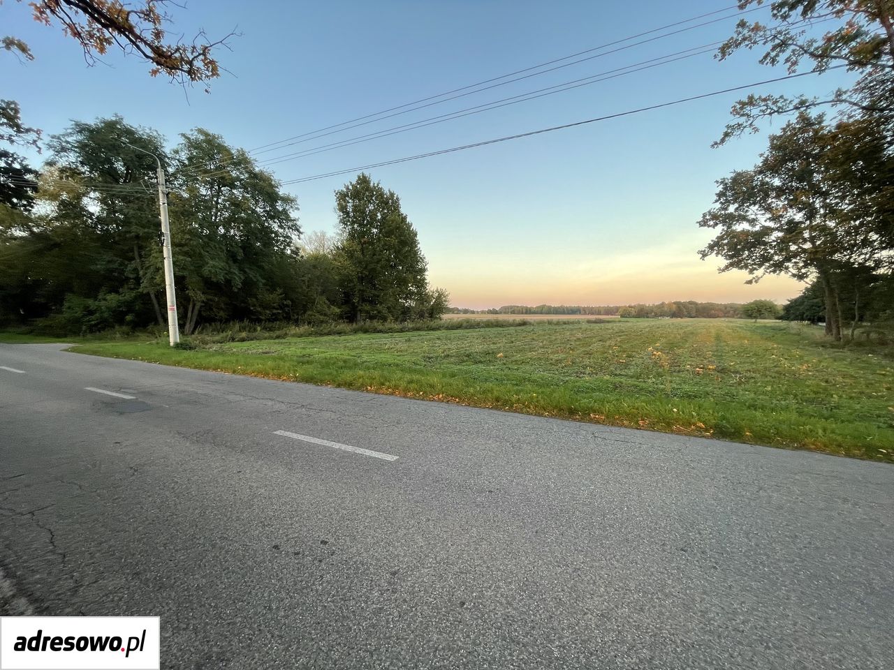 Działka budowlana Zadębie. Zdjęcie 2