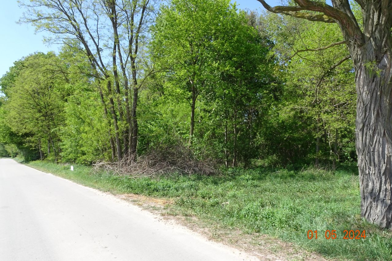 Działka budowlana Pawłowice. Zdjęcie 2