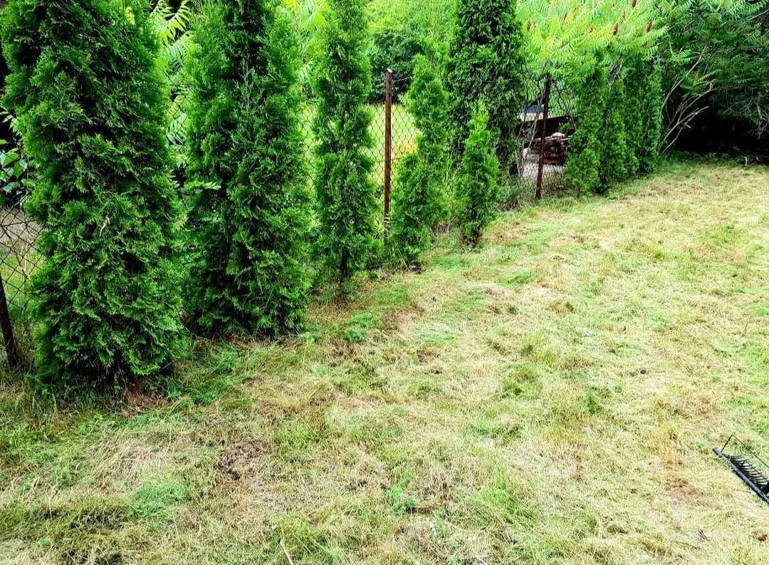 Działka rod Szerominek. Zdjęcie 3