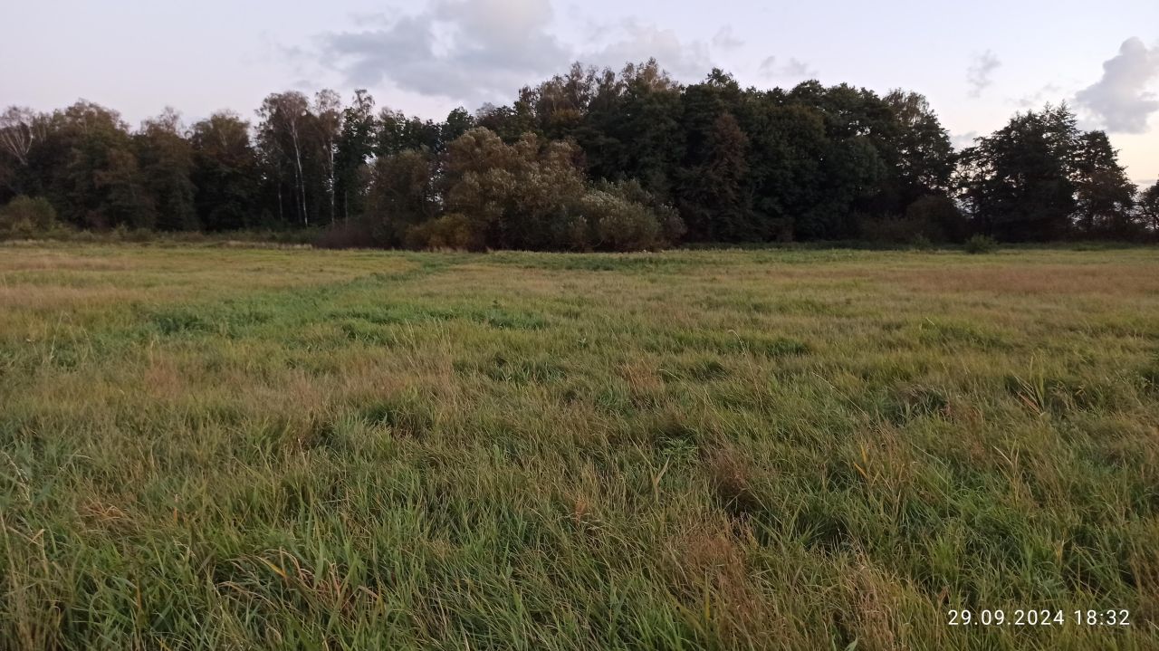 Działka rolna Braniewo, ul. Szkolna. Zdjęcie 4