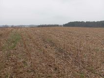 Działka rolna Stary Ciepielów. Zdjęcie 4