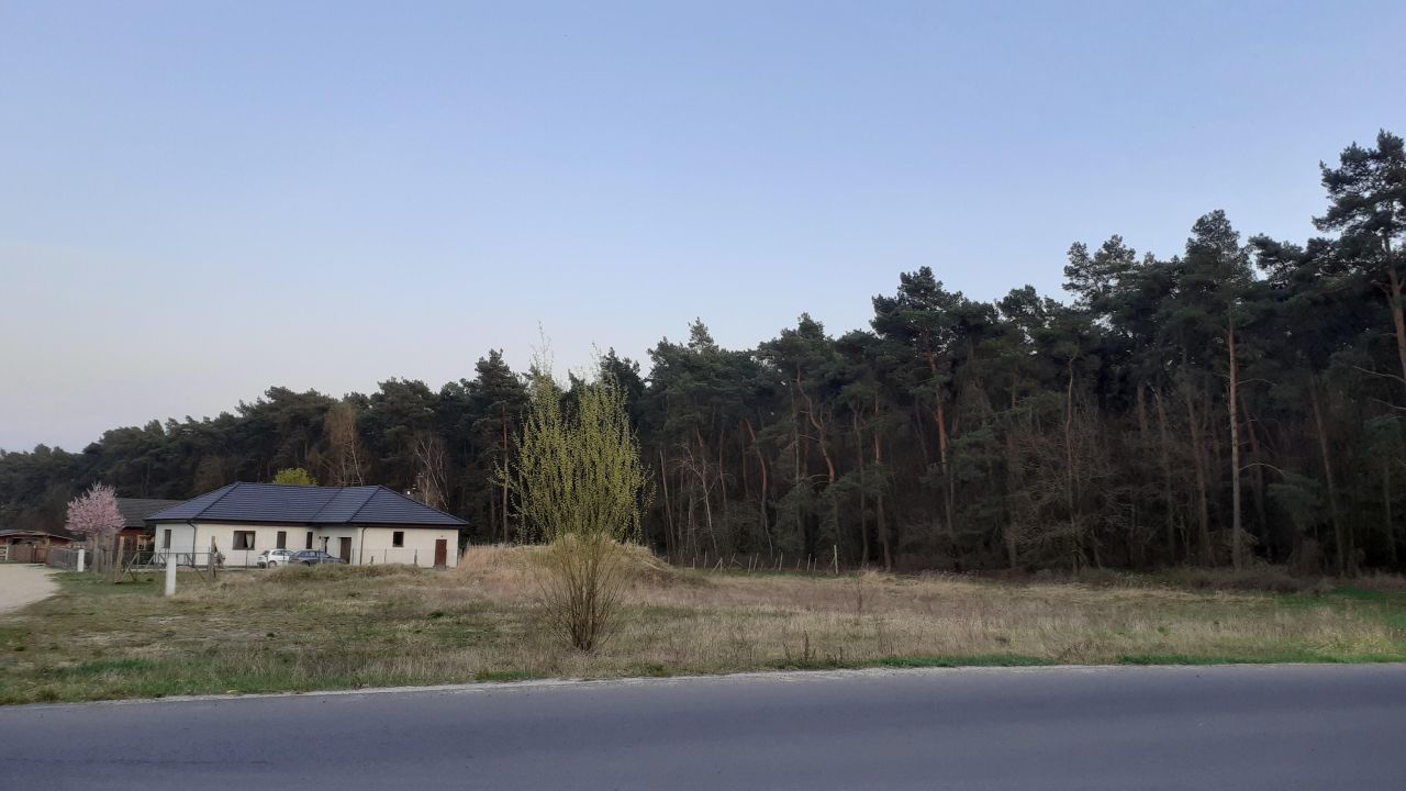 Działka budowlana Grodzisko. Zdjęcie 2