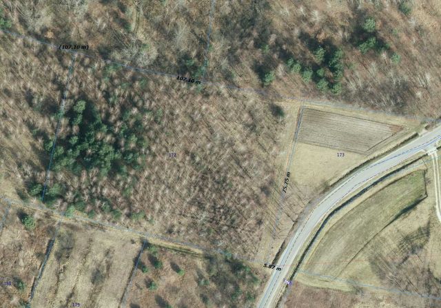 Działka leśna Nowa Jastrząbka Pniaki. Zdjęcie 1