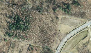 Działka leśna Nowa Jastrząbka Pniaki