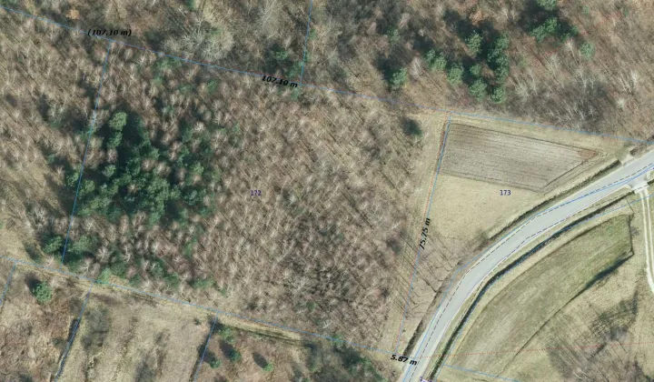 Działka leśna Nowa Jastrząbka Pniaki