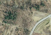 Działka leśna Nowa Jastrząbka Pniaki