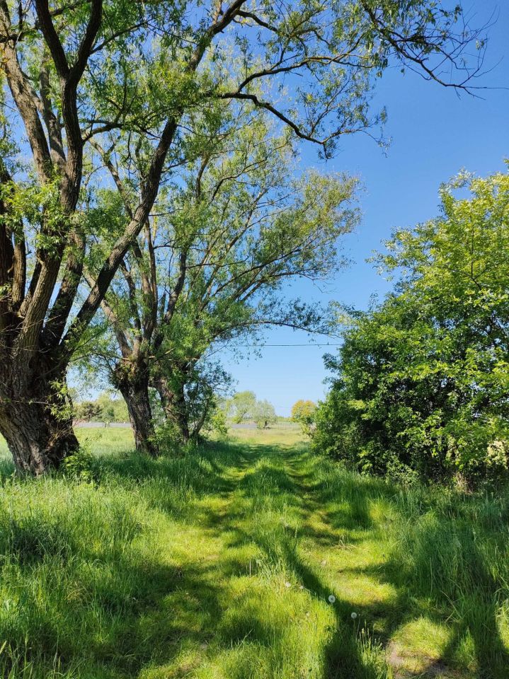 Działka budowlana Nowe Miasto. Zdjęcie 5