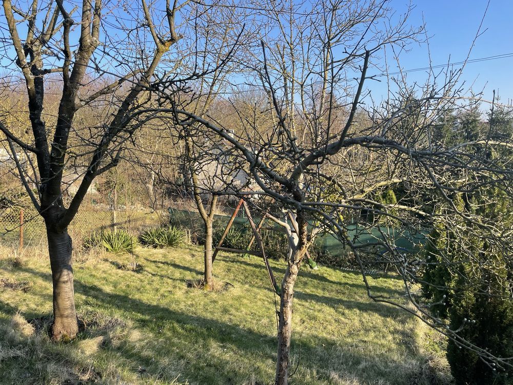 Działka rod Szczecin Golęcino, ul. Pokoju. Zdjęcie 6