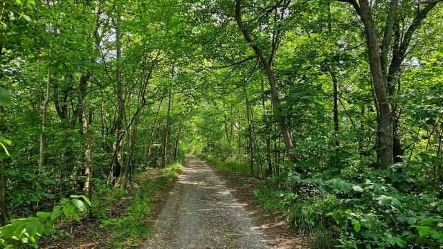 Działka rekreacyjna Ublik. Zdjęcie 19
