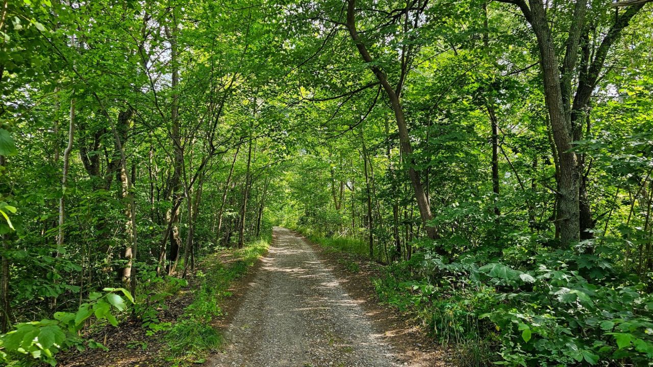 Działka rekreacyjna Ublik. Zdjęcie 19