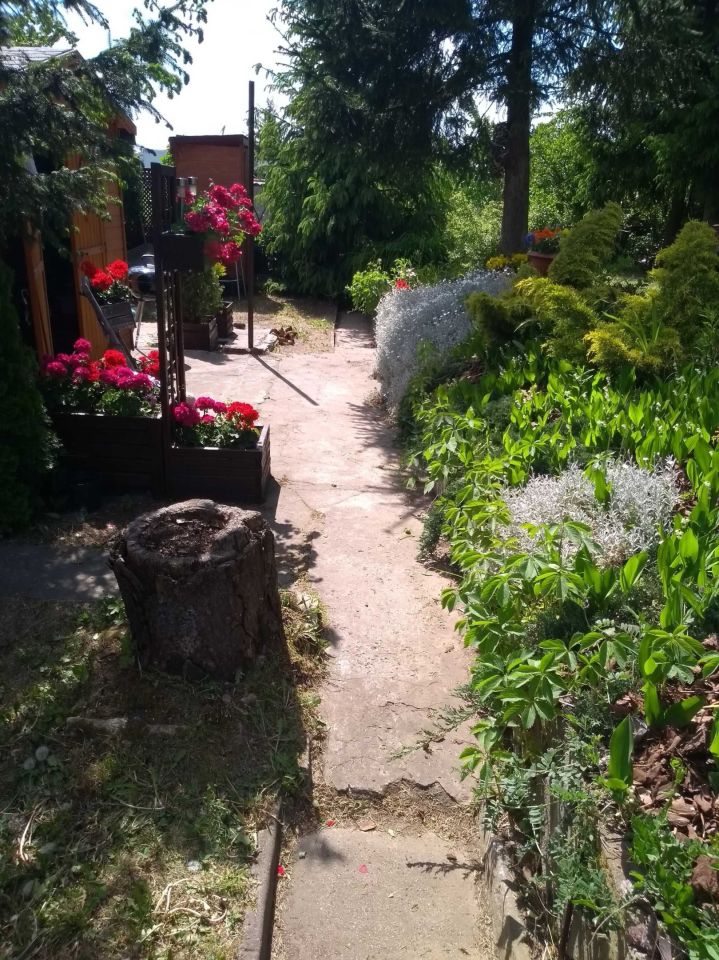 Działka rod Będzin Górki Małobądzkie. Zdjęcie 5