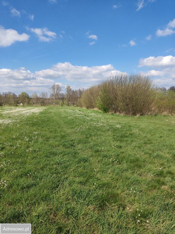 Działka rolno-budowlana Lgota Błotna. Zdjęcie 5