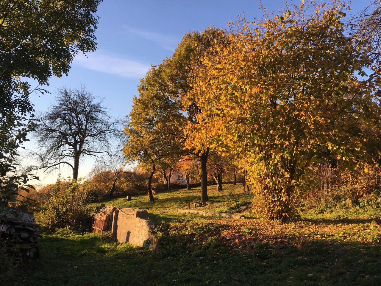 Działka budowlana Podchybie Pochów, ul. Widokowa. Zdjęcie 13