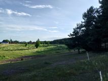 Działka rekreacyjna Kurki. Zdjęcie 1