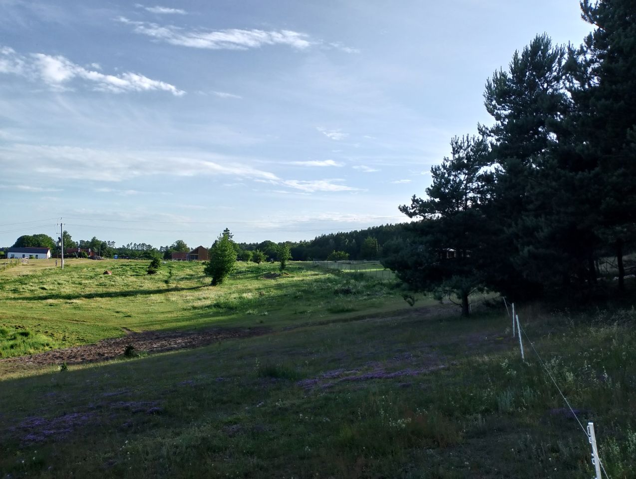 Działka rekreacyjna Kurki. Zdjęcie 2