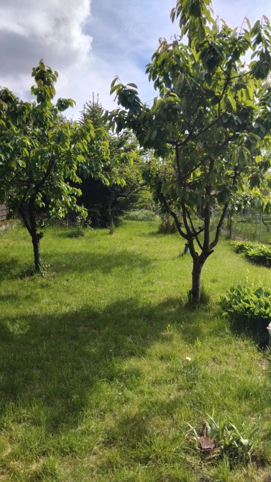 Działka rod Kwidzyn, ul. Józefa Hallera. Zdjęcie 6