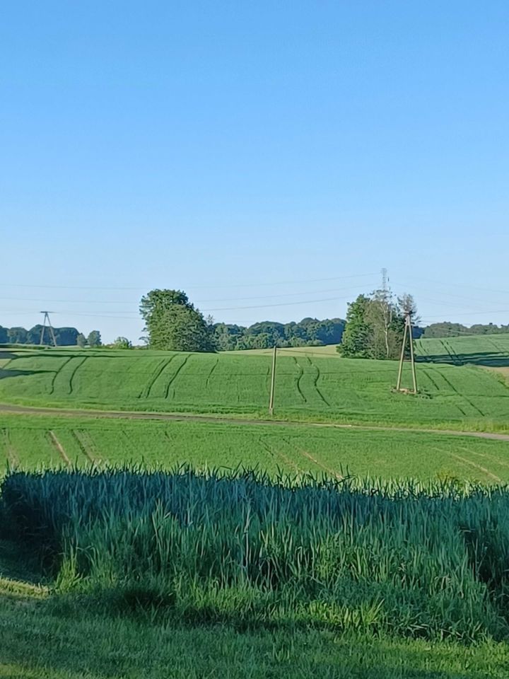 Działka budowlana Marklowice, ul. Rolnicza