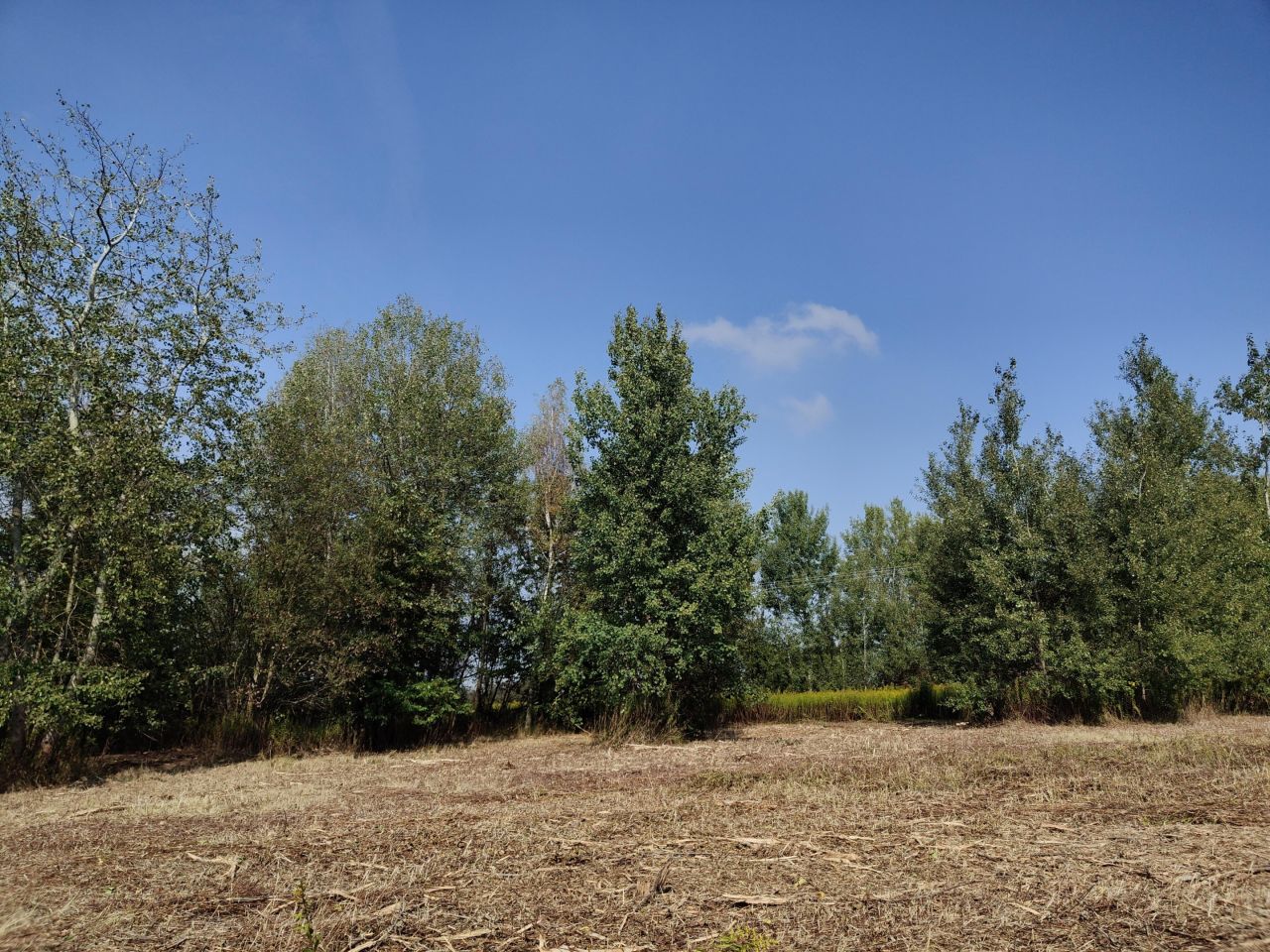 Działka budowlana Jabłonna Pierwsza. Zdjęcie 21