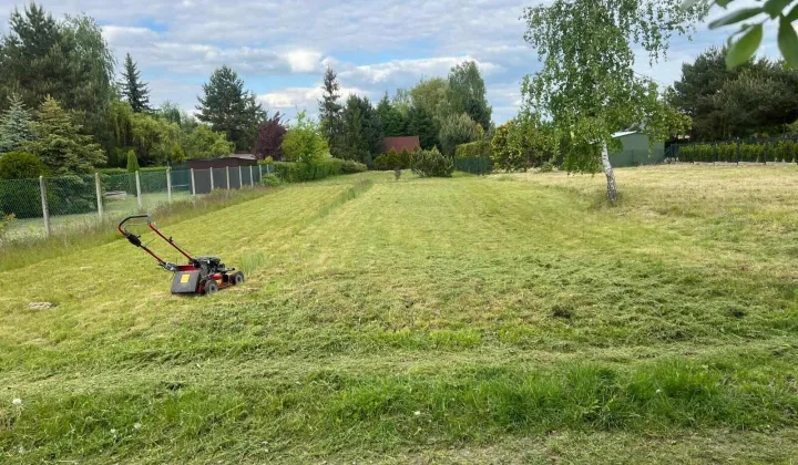 Działka rekreacyjna Polanowice Brzózki, Aleja Dębowa