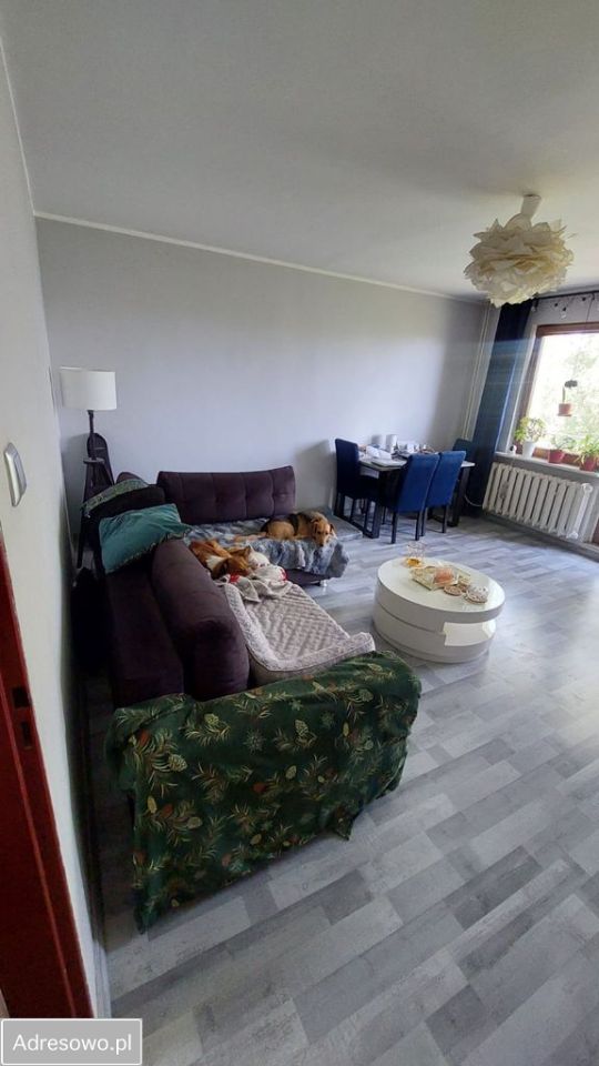 Mieszkanie 2-pokojowe Gliwice, ul. Obrońców Pokoju. Zdjęcie 11