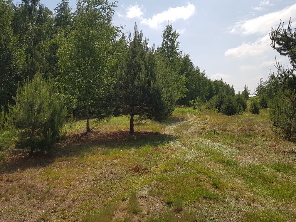 Działka budowlana Gilówka Górna. Zdjęcie 6