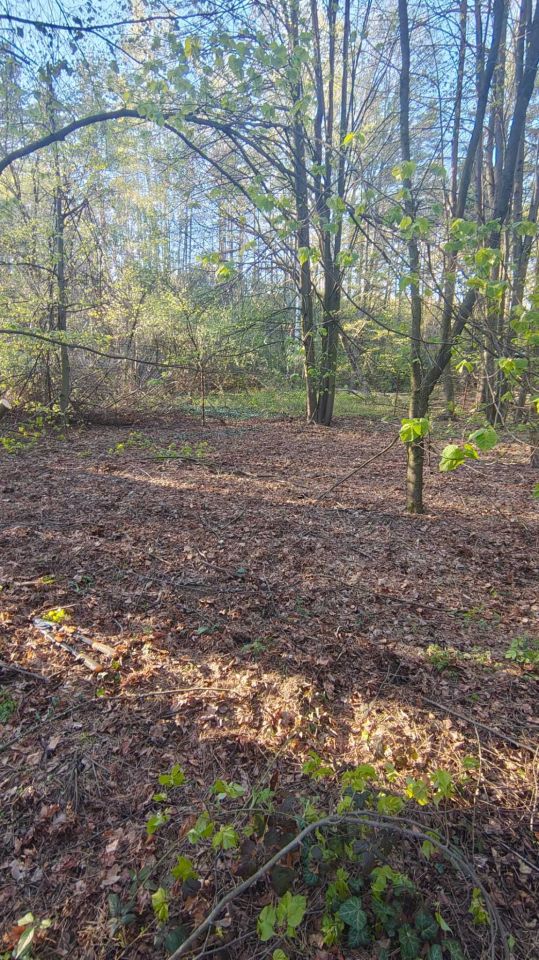 Działka budowlana Nowy Świat. Zdjęcie 6